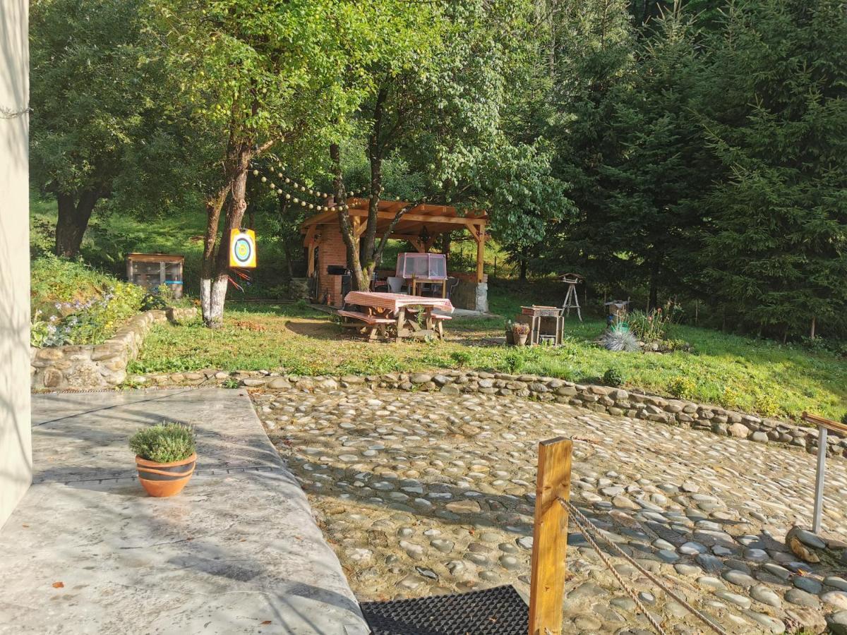 Soho Lodge Rasnov Exterior foto