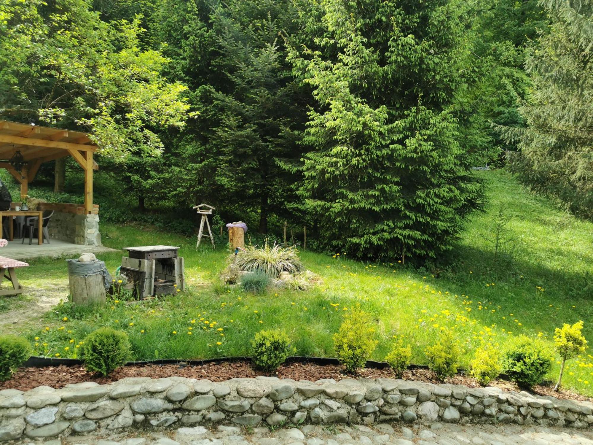 Soho Lodge Rasnov Exterior foto